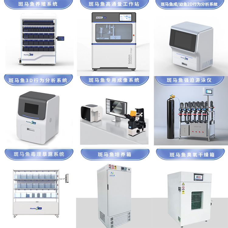 1755581528201108.jpg 6.jpg