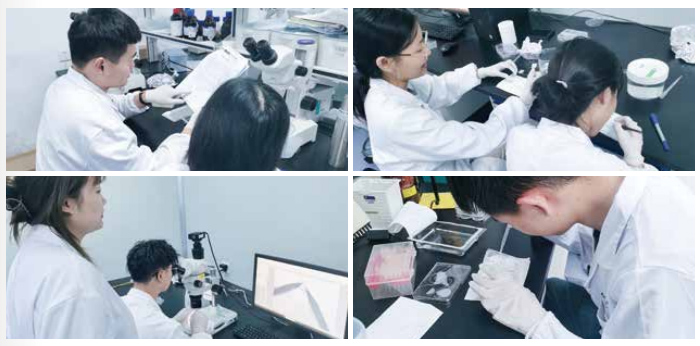 1755581539173449.jpg 7.jpg