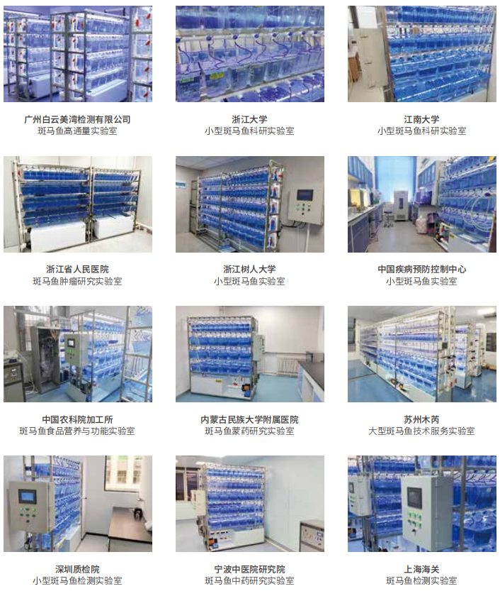 1755581548149041.jpg 8.jpg