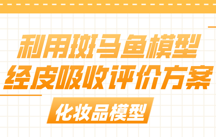 斑马鱼模型经皮吸收评价方案