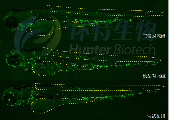 1755583997203412.jpg 1.jpg