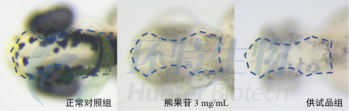 1755584445727522.jpg 1.jpg