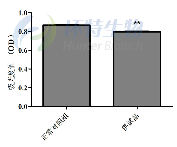 1755584453110899.jpg 2.jpg