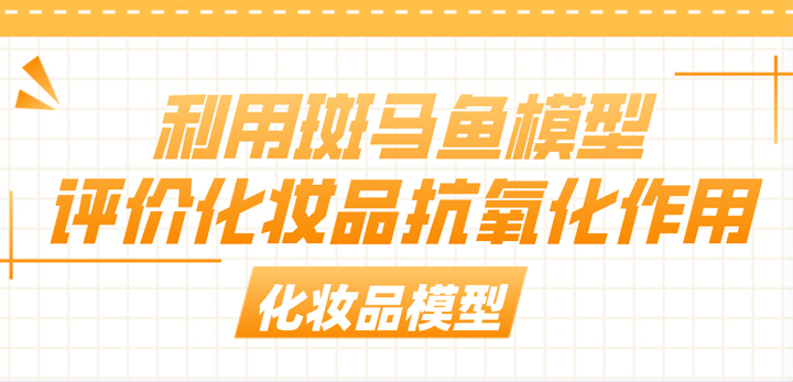 利用斑马鱼模型评价化妆品抗氧化作用
