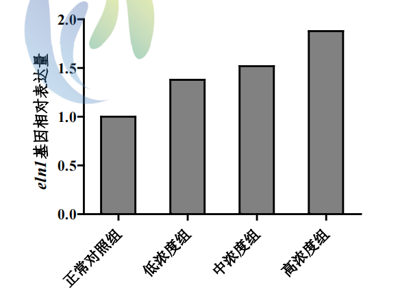 利用斑马鱼评价化妆品紧致功效