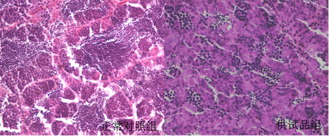 斑马鱼致癌性表型图