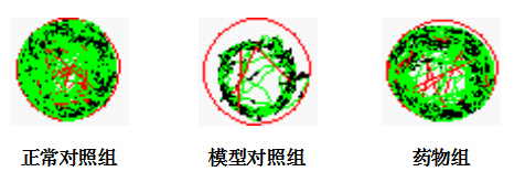 1755667511934807.jpg 1.jpg