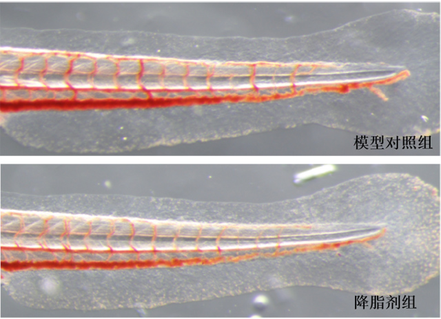 1755668557860911.jpg 1.jpg