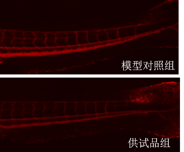 1755668568210797.jpg 01.jpg