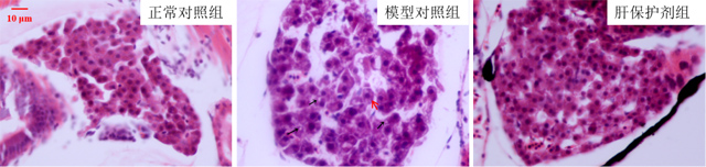 1755668801200368.jpg 01.jpg