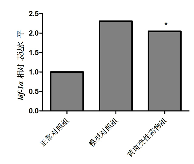 1755669971495066.jpg 2.jpg