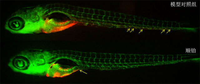 1755670579188958.jpg 1.jpg