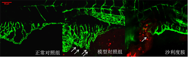 1755670586196212.jpg 2.jpg