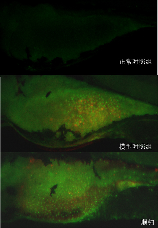 1755670594652452.jpg 3.jpg