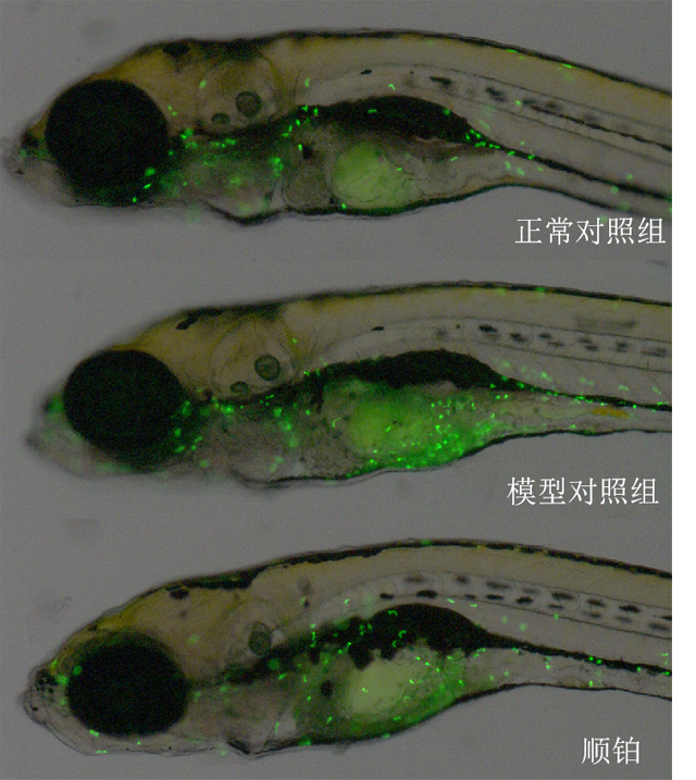 1755670601303648.jpg 4.jpg