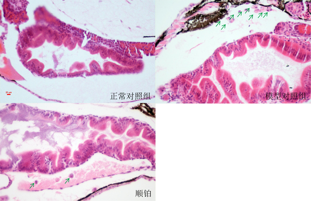 1755670612887591.jpg 5.jpg