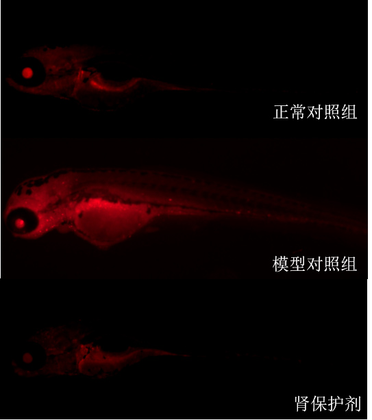 1755672047233497.jpg 1.jpg