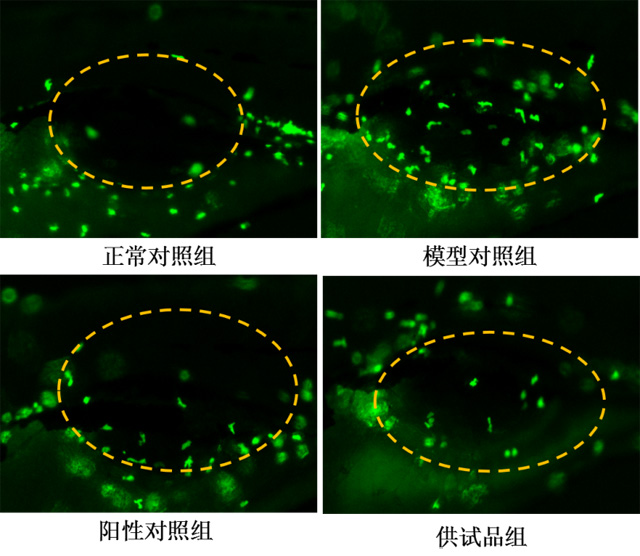 1755672294262637.jpg 01.jpg