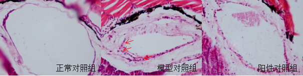 1755672309803469.jpg 2.jpg