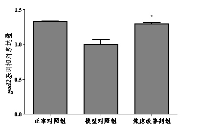 1755673030545934.jpg 2.jpg