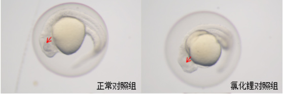 1755673292147521.jpg 01.jpg