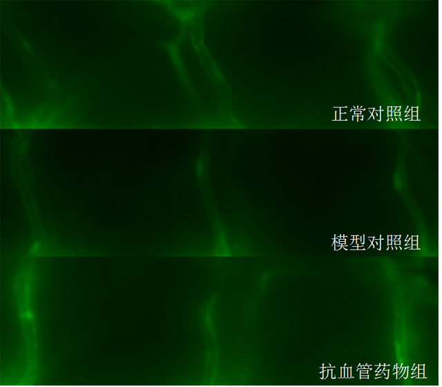 1755673568101268.jpg 1.jpg