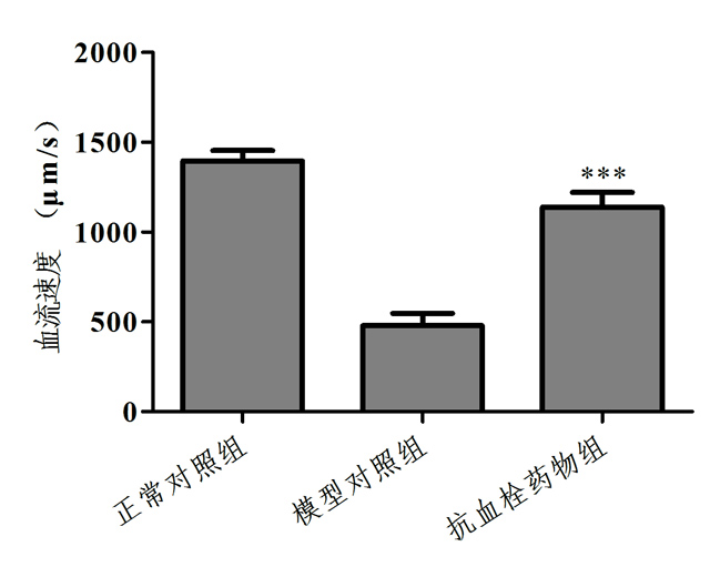 1755673576201208.jpg 2.jpg