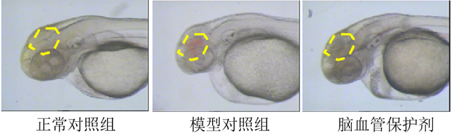 1755673958578356.jpg 01.jpg