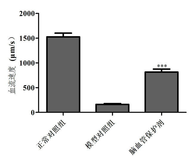 1755673973149379.jpg 2.jpg