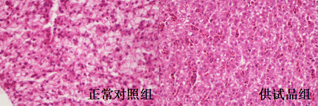 1755675949157184.jpg 01.jpg