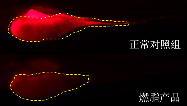 1755676280864632.jpg 01.jpg