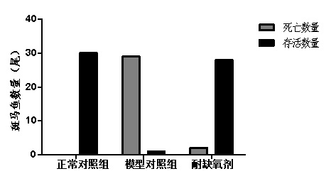 1755676401193445.jpg 01.jpg