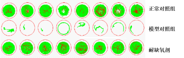 1755676472586821.jpg 01.jpg