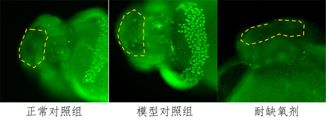 1755676479101641.jpg 1.jpg