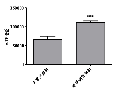 利用斑马鱼模型筛选能量调节剂（减肥产品） 【评价原理】