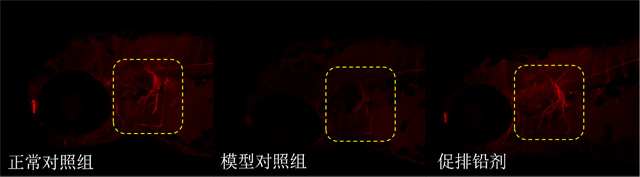 1755832424212820.jpg 01.jpg