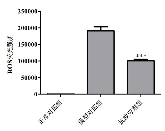 1755833301170979.jpg 2.jpg