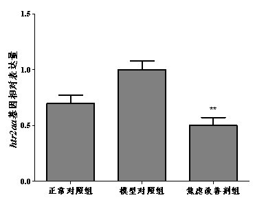 1755833415565145.jpg 3.jpg