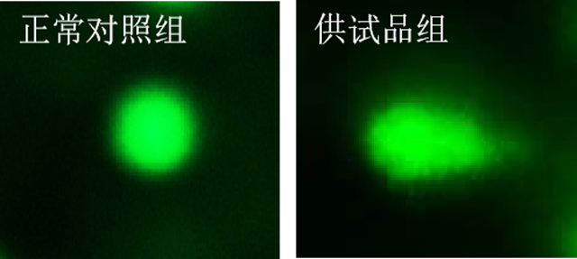 1758075236202147.jpg 22-1.jpg