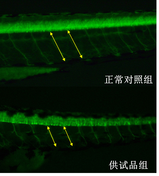 1758075911499853.jpg 12-3.jpg