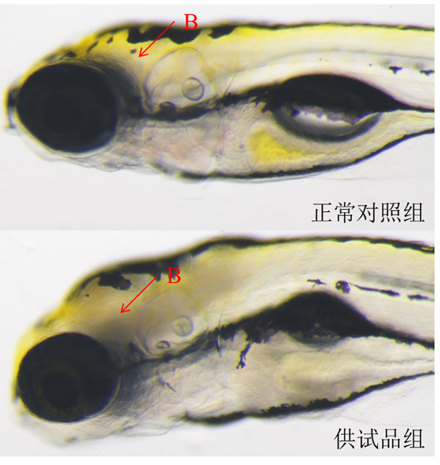 1758075934372368.jpg 12-4.jpg