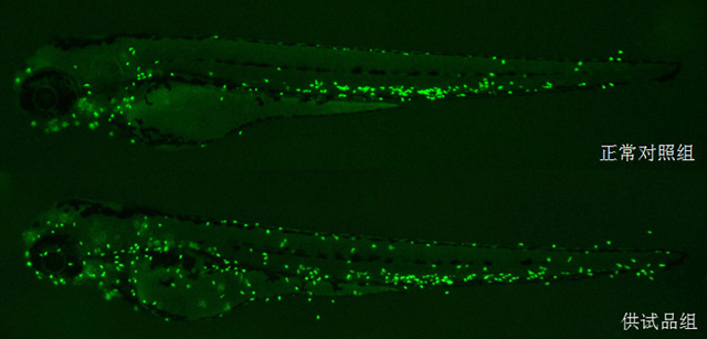 1758087071123012.jpg 16-1.jpg