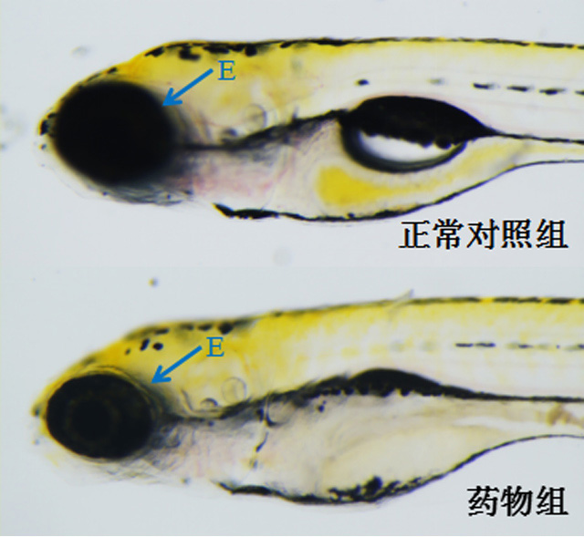 1758087212162280.jpg 23-1.jpg