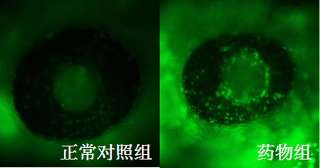 1758087223100158.jpg 23-2.jpg