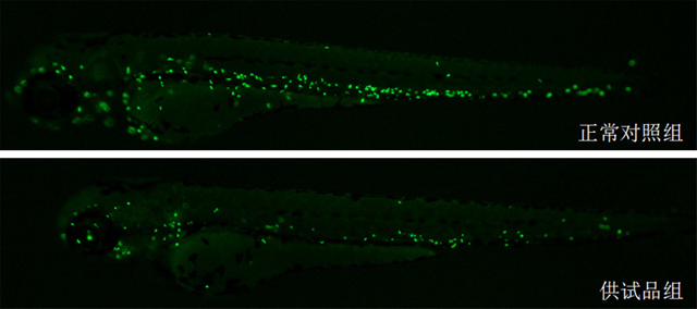 1758087881353296.jpg 21-1.jpg