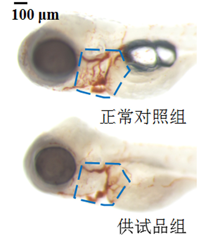 1758087899238083.jpg 21-3.jpg