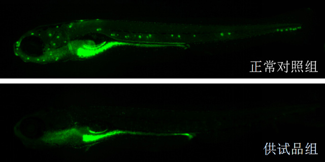 1758088072678356.jpg 15-2.jpg