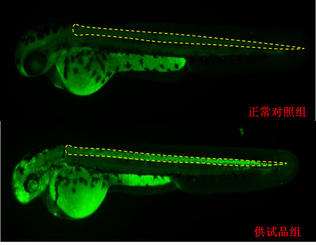 1758088310203957.jpg 8-3.jpg