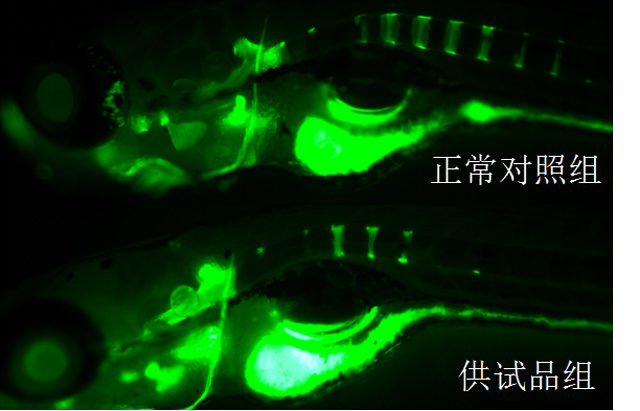 1758088808128250.jpg 11-2.jpg