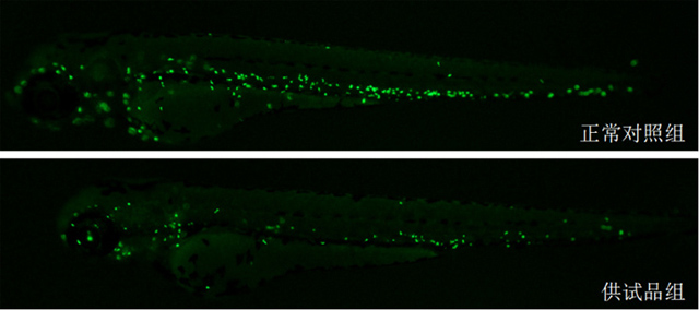 1758093740334227.jpg 17-1.jpg